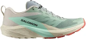 Salomon Men's SENSE RIDE 5 Trail Running Shoes for Men