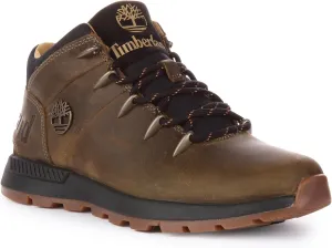 Timberland Men's Hiking Shoes