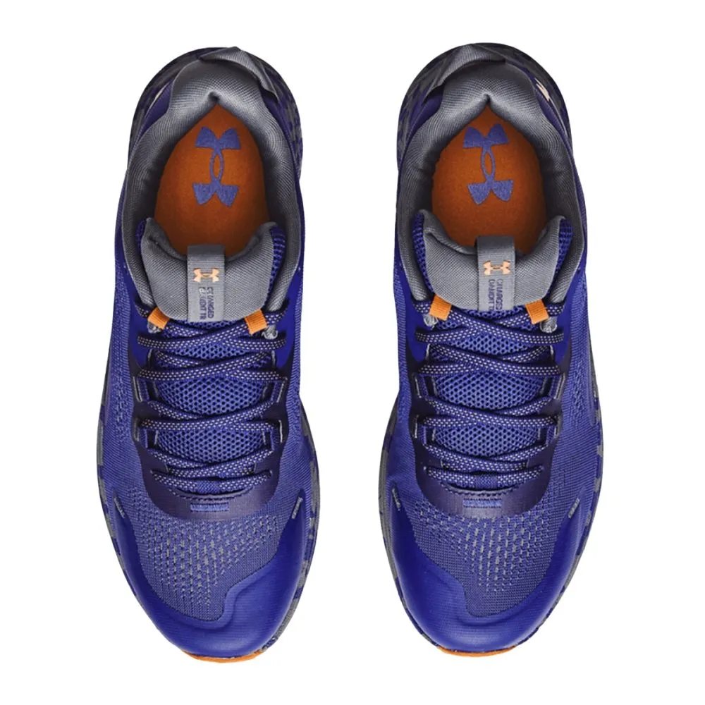 UA Charged Bandit TR 2 M Blue Purple